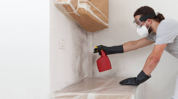 Professional Basement Mold Remediation technician working in Woodbury, MN